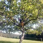Panoramahof Manzberg Lägenhet