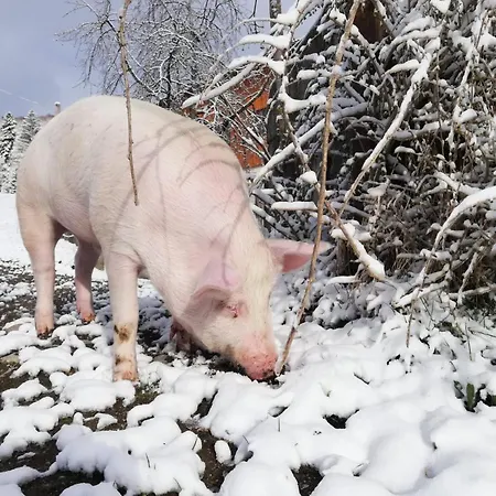 Panoramahof Manzberg