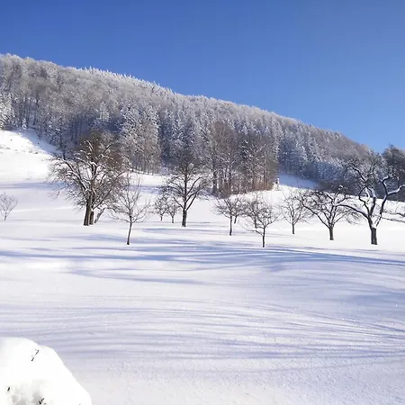 Panoramahof Manzberg