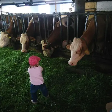 Appartement Panoramahof Manzberg *