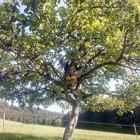Panoramahof Manzberg Διαμέρισμα