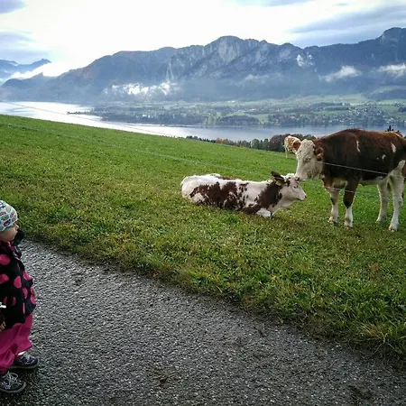 Appartamento Panoramahof Manzberg *