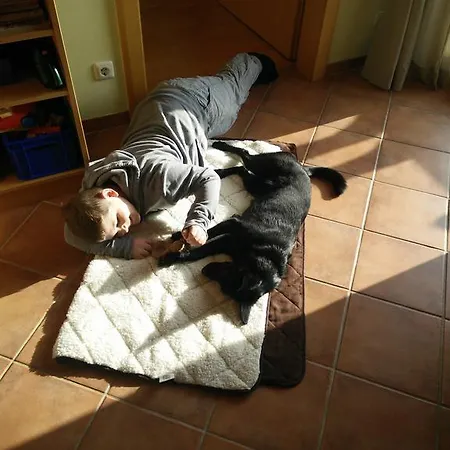 Panoramahof Manzberg Appartement Mondsee