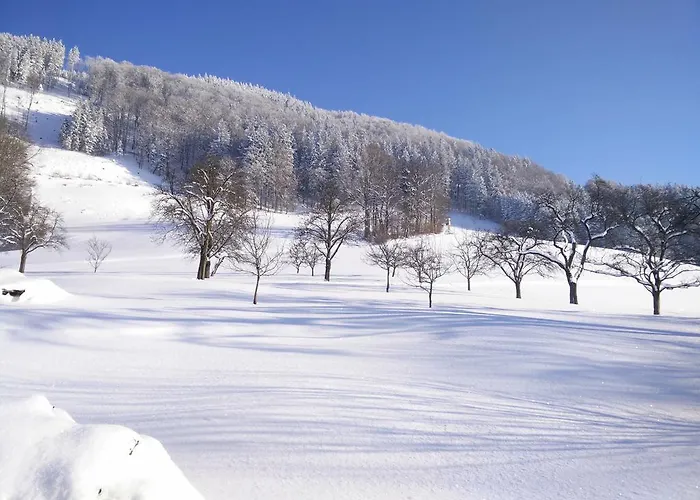 Panoramahof Manzberg