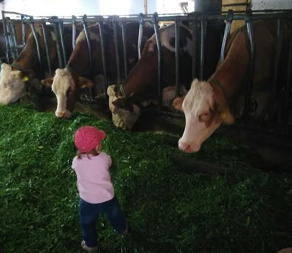 公寓 Panoramahof Manzberg *