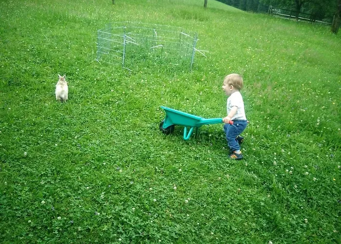 公寓 Panoramahof Manzberg