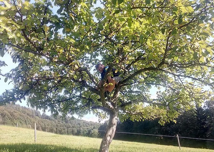 Panoramahof Manzberg Διαμέρισμα