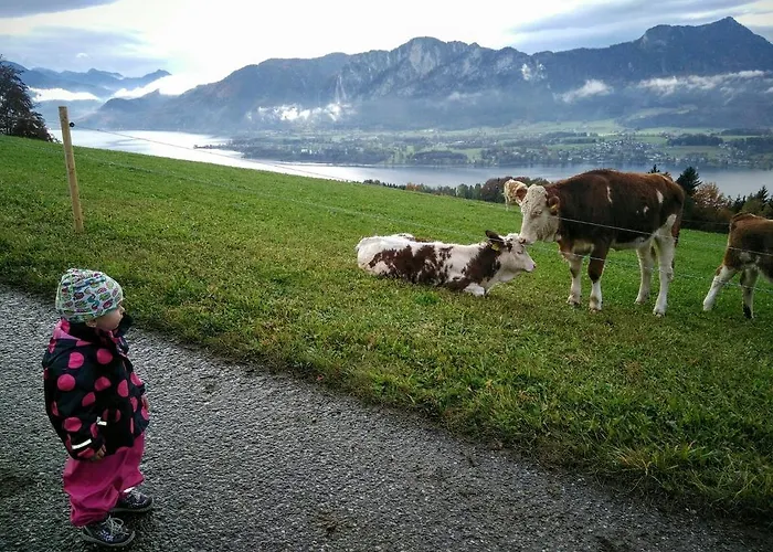 公寓 Panoramahof Manzberg *