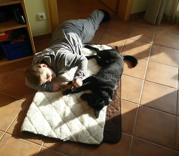 Panoramahof Manzberg 公寓 蒙德湖