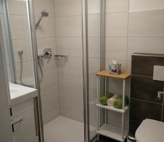 Διαμέρισμα Panoramahof Manzberg *