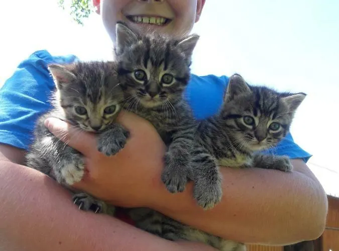 Panoramahof Manzberg